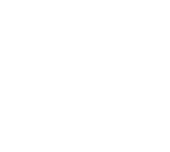 Enlaces Prim